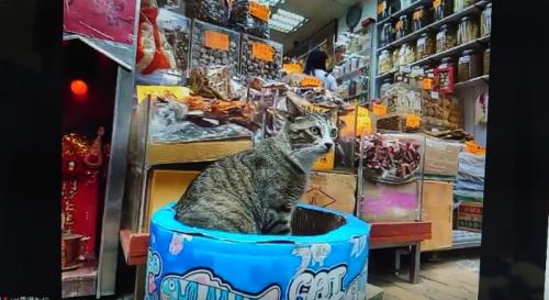 最高でした。 最高でした。