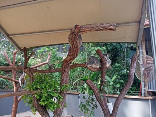 むっちゃ可愛いくて癒されました