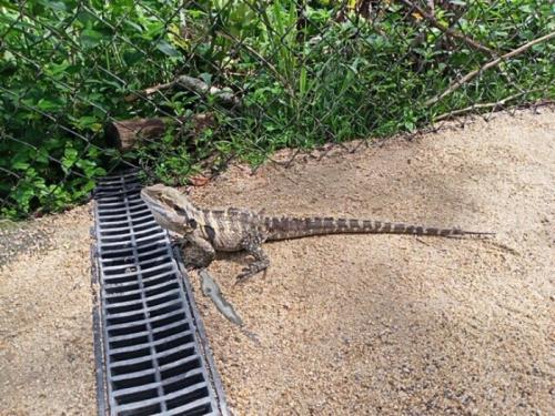 むっちゃ可愛いくて癒されました