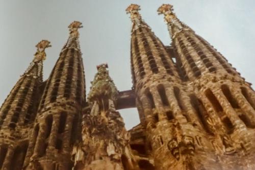 ライブツアーよかったです。