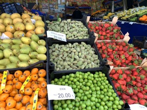 猫だけではなく。 猫だけではなく。