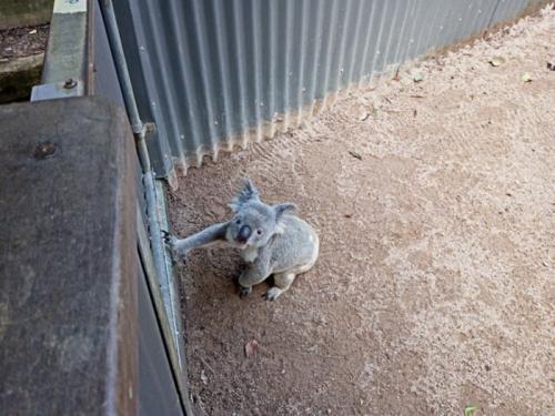楽しかったです! 楽しかったです!