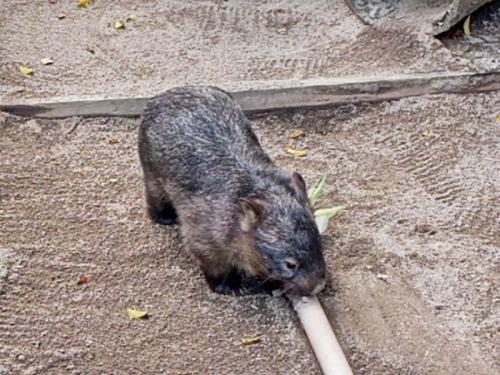 Liveならではの楽しみがありました