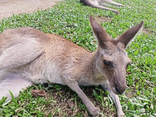 現地に行っているような気分になれました