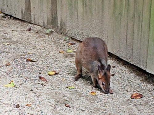 現地に行っているような気分になれました