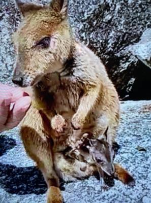 空の青さに感動 空の青さに感動