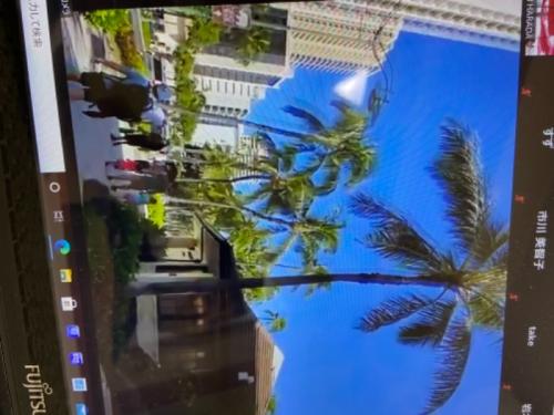 大満足なオンラインツアー