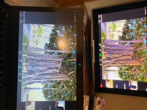 GWにハワイに行ってきました！