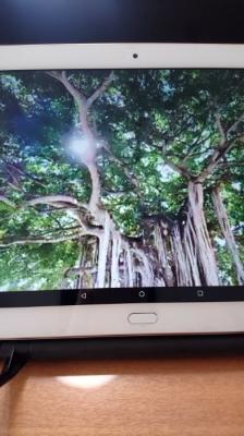 ハワイオアフ島