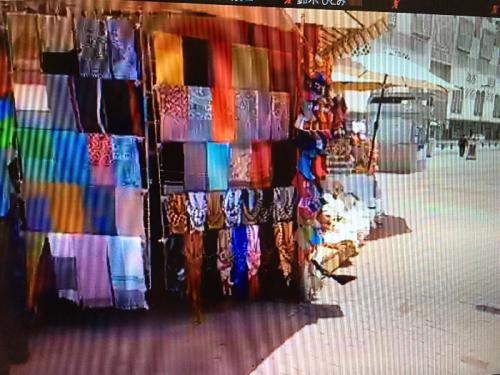 臨場感あるツアー 臨場感あるツアー