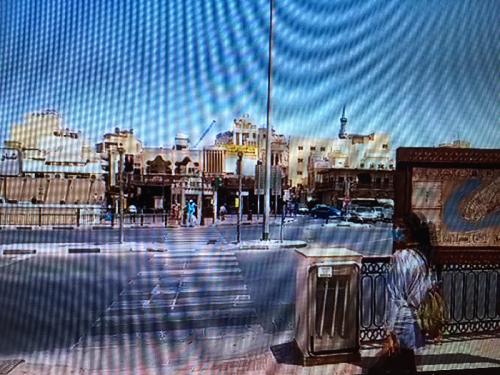 臨場感あるツアー 臨場感あるツアー