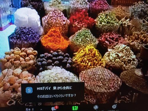 臨場感あるツアー 臨場感あるツアー