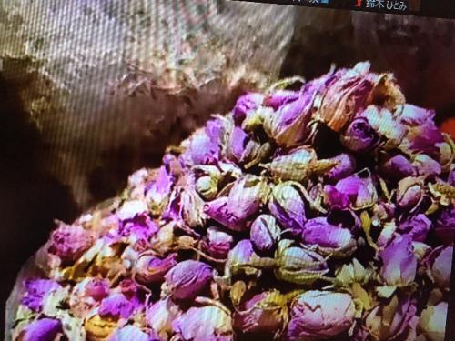 臨場感あるツアー 臨場感あるツアー