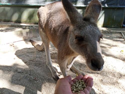 現地にいる気分になりました！