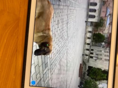 ひさびさにリラックスできました。