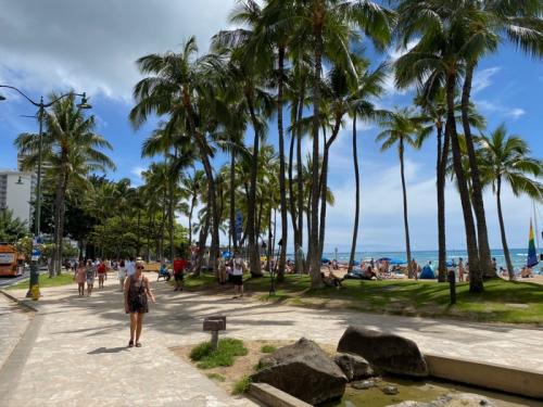 楽しかったバーチャルハワイ！