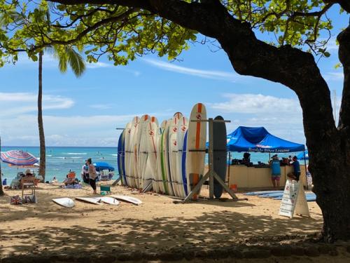 楽しかったバーチャルハワイ！