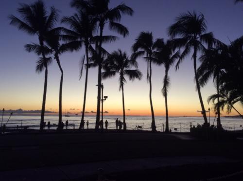 楽しかったバーチャルハワイ！