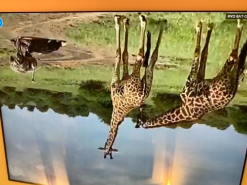 久しぶりの旅行楽しすぎました！