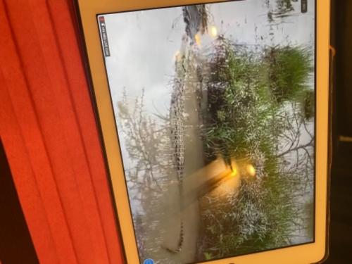 久しぶりの旅行楽しすぎました！