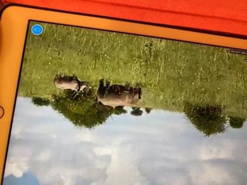 久しぶりの旅行楽しすぎました！