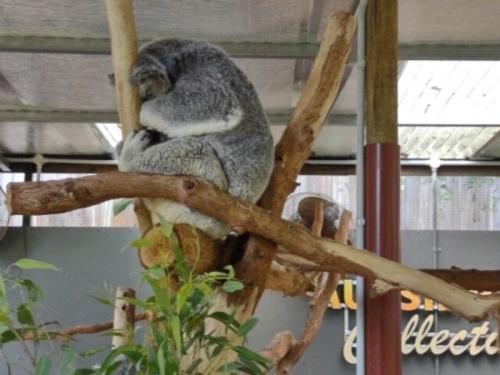 充実の１時間！