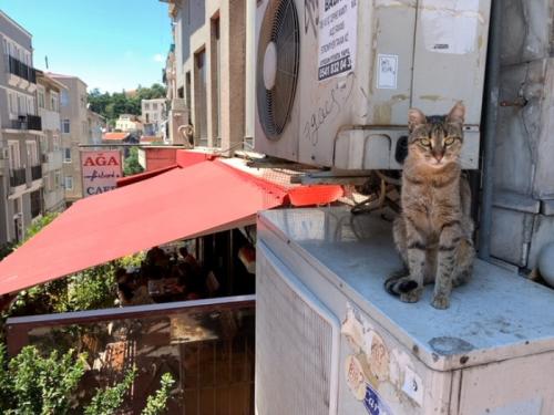 楽しかったです 楽しかったです