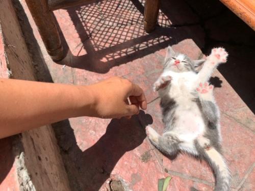 楽しかったです 楽しかったです