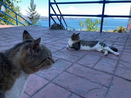 楽しかったです 楽しかったです