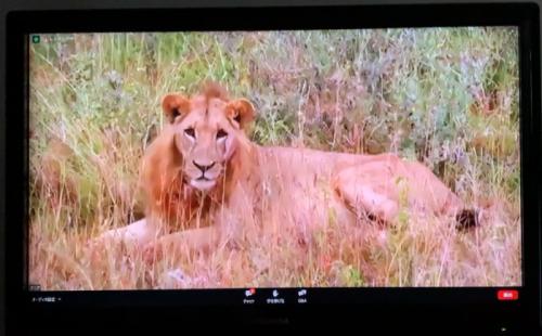 第二弾を期待しています！