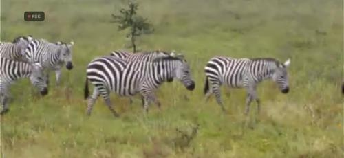 神回!でした 神回!でした