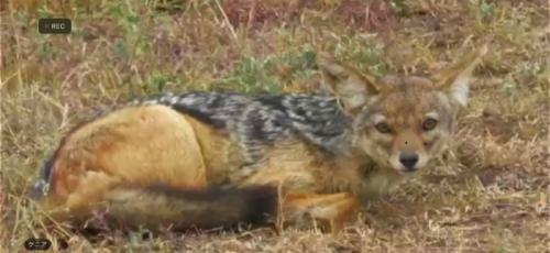 神回!でした 神回!でした