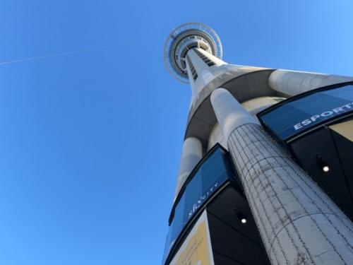 いい経験でした❗