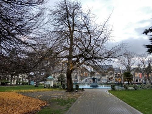 いい経験でした❗