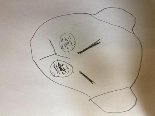 5歳児大よろこびでした