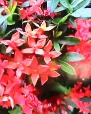 楽しい時間を過ごせました