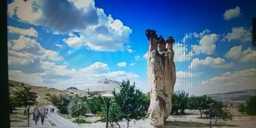 バーチャル旅行最高だわ!時に合った楽しみ方 バーチャル旅行最高だわ!時に合った楽しみ方