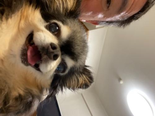 「千と千尋の神隠し」モデルの街は幻想的でした!