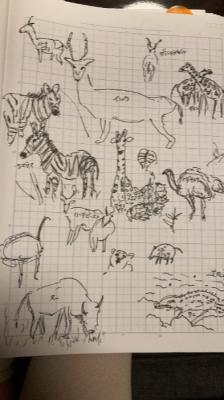 楽しめました！