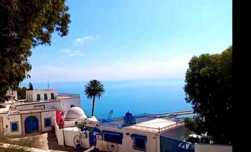 青と白の世界にチュニジアの風を感じました