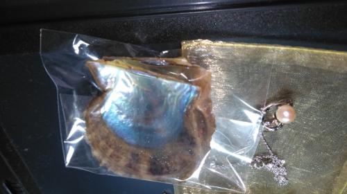 とても癒されました