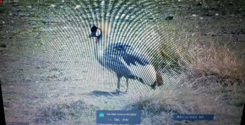 たくさん観られました。