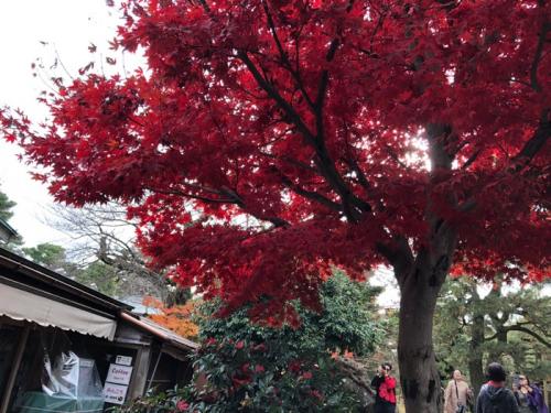 うけてよかった