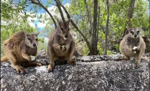 癒されました(*^^*)