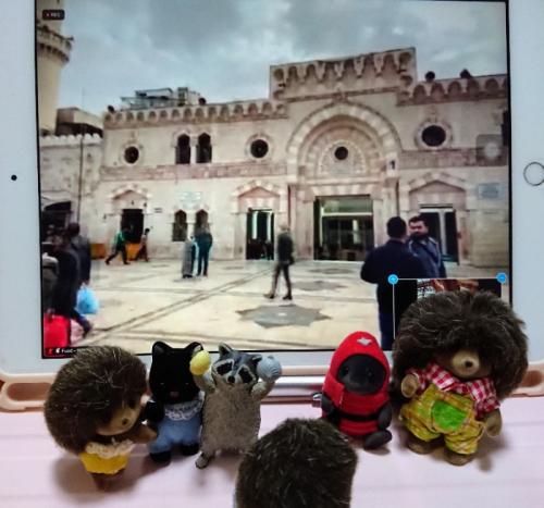 魅惑 そして 未開の地域へ 旅行