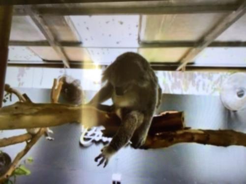 子どもと世界一周の旅 子どもと世界一周の旅