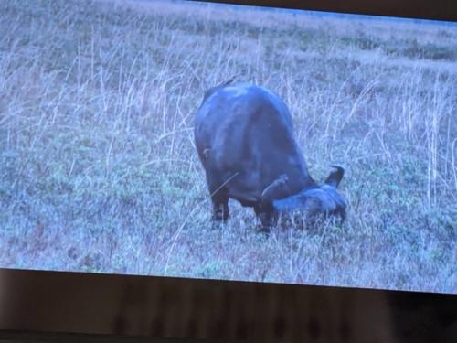 子どもと世界一周の旅 子どもと世界一周の旅