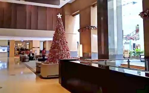 素敵なクリスマス