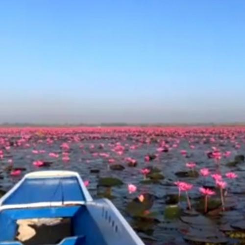 人生初のタイ。素晴らしい景観でした。