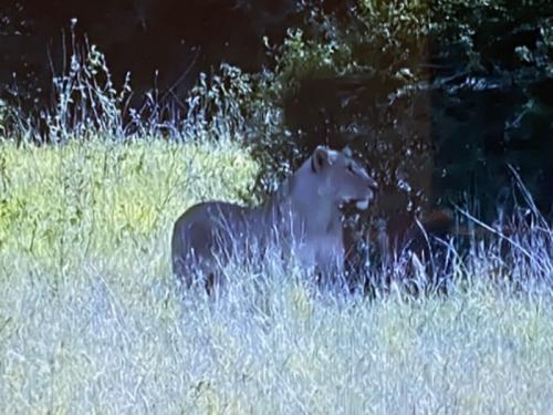 世界一周楽しかった！